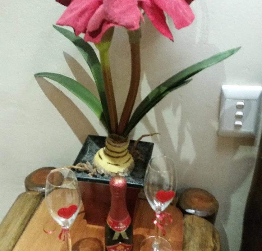 非洲之旅小屋