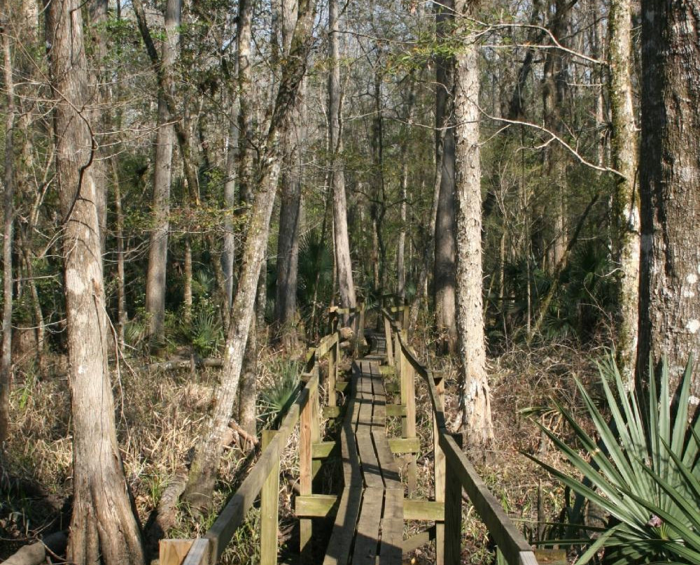 Rice Creek Conservation Area-Palatka必去景点