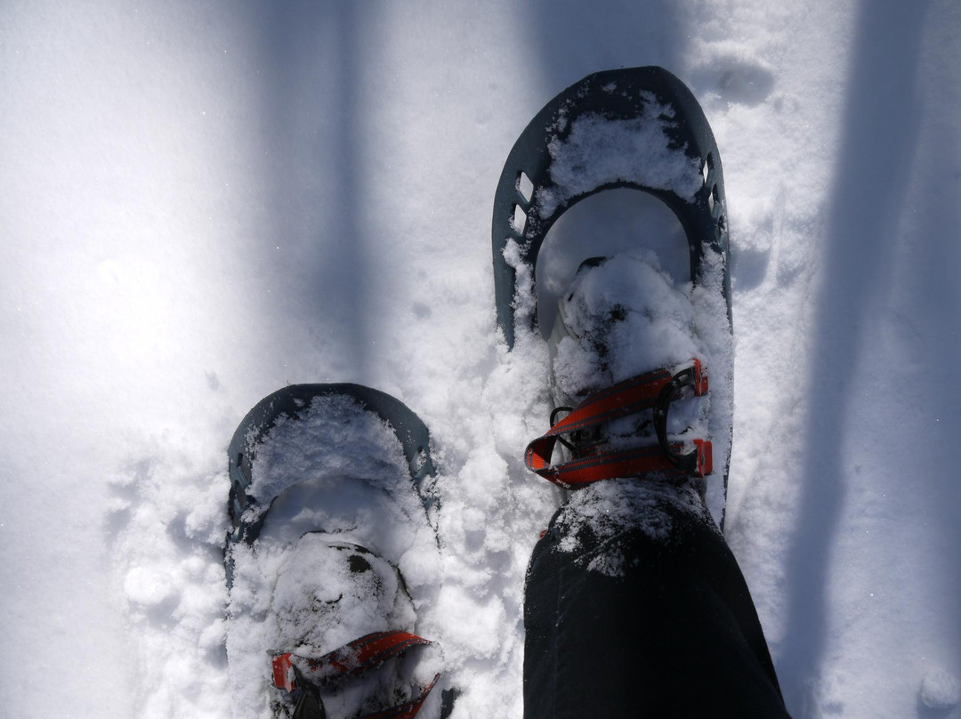 Plein Air Sutton-Sutton必去景点