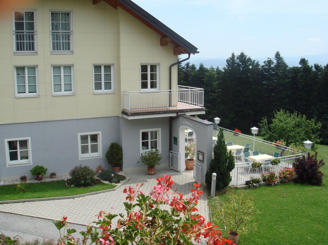湖瀚姆餐馆和美食-Gasthof Alpenblick