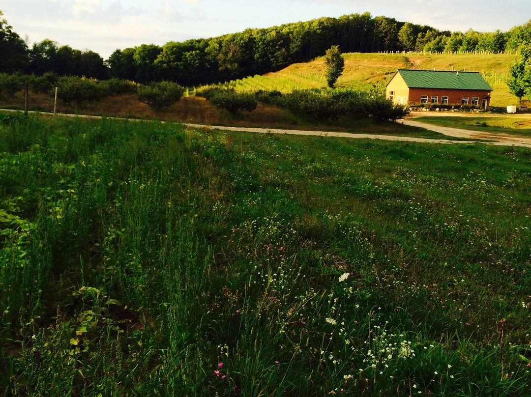 Green Bird Organic Cellars &  Farm景点图片