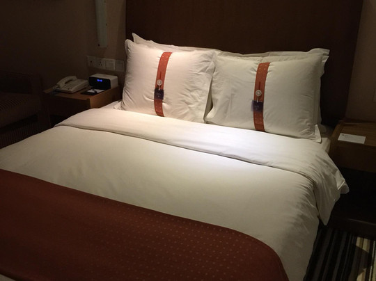 金桥中心智选假日酒店主图