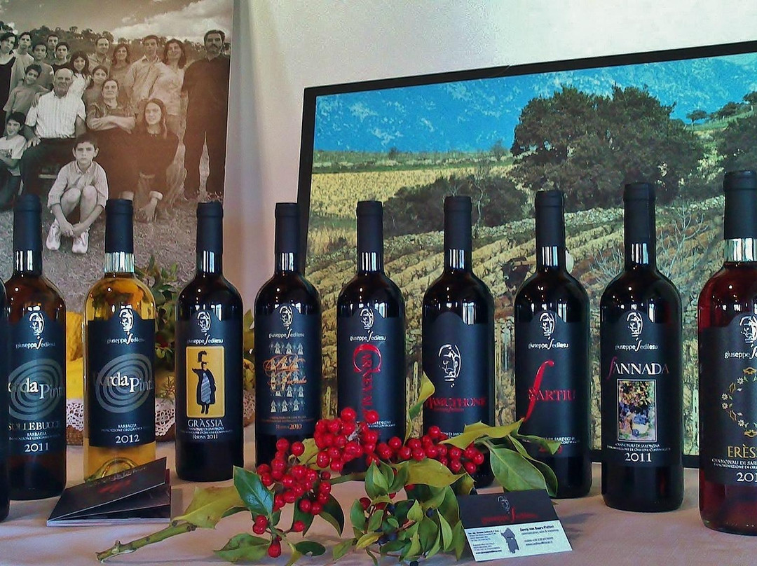 Cantina Giuseppe Sedilesu-Mamoiada必去景点