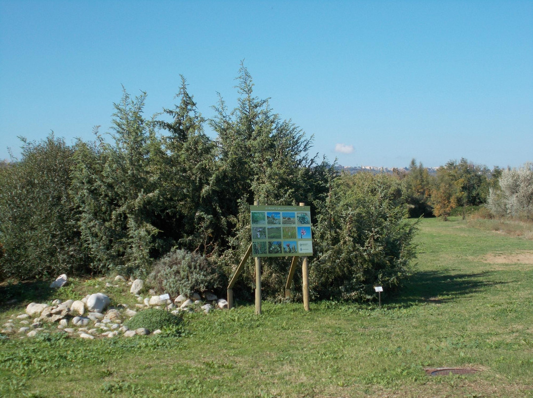 Mediterranean Botanical Garden and Coastal Biotope景点图片
