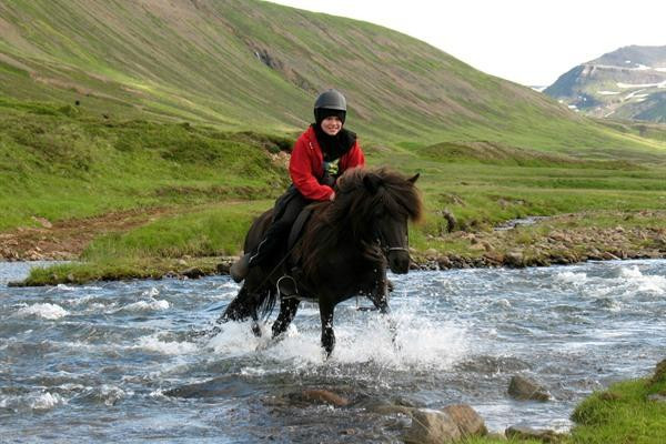 Langhús Farm-Skagafjordur必去景点