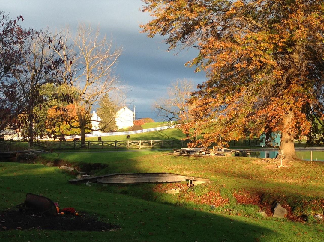 Beaver Creek Farm Cabins/Cottages