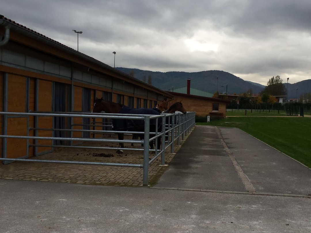Centre Equestre de Ribeauville-里博维尔必去景点