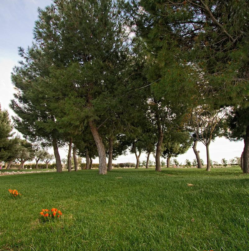 波斯塔德尔法尔科B&B酒店主图