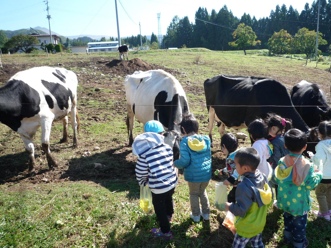 Yamakawa Farm-上山市必去景点
