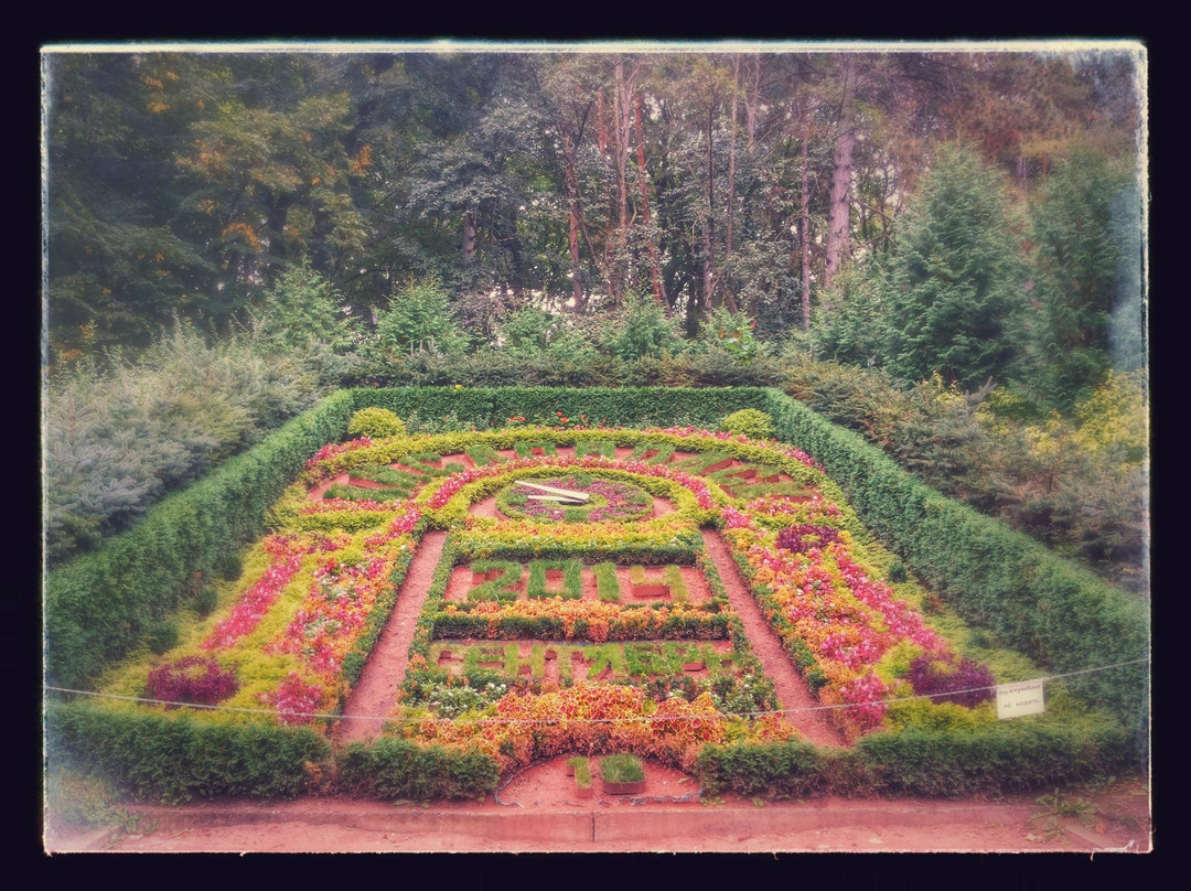 Flower Calendar景点图片