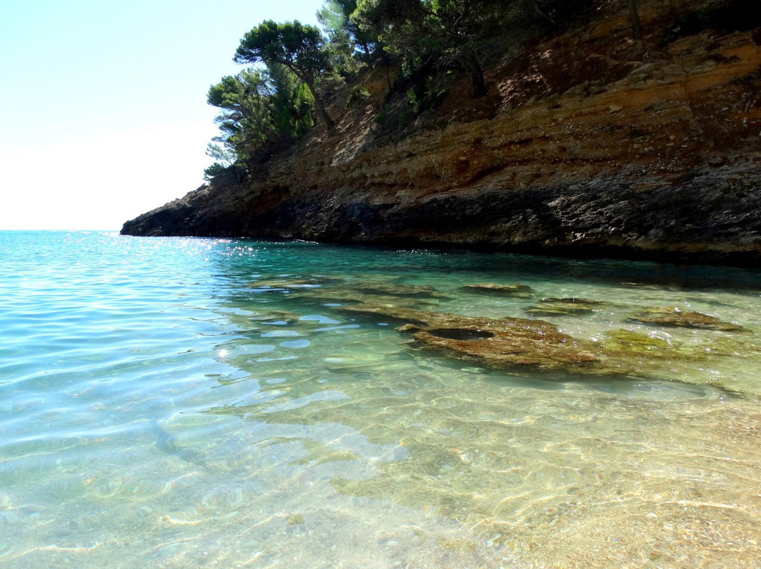 Cala della Pergola-维耶斯泰必去景点