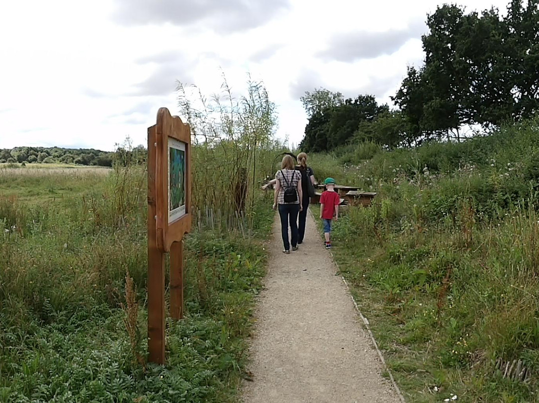 Potteric Carr Nature Reserve景点图片