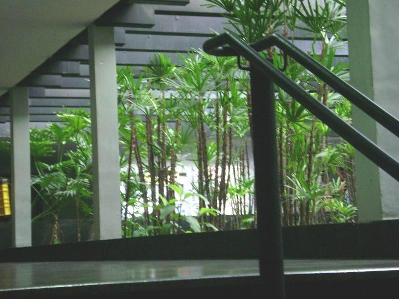 MINASCENTRO-贝洛哈里桑塔必去景点