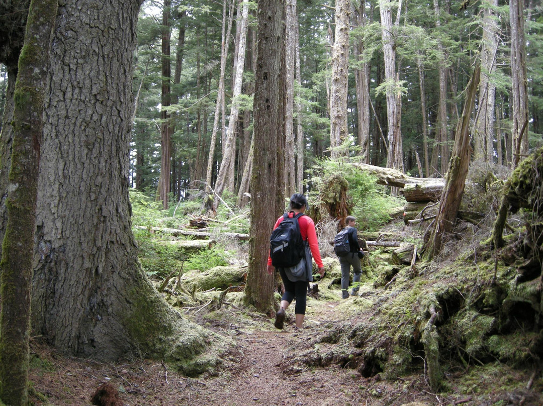 Metlakatla Wilderness Trail景点图片