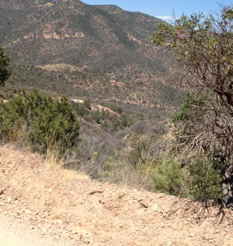 Lavender Jeep Tours - Private Tours-比斯比必去景点