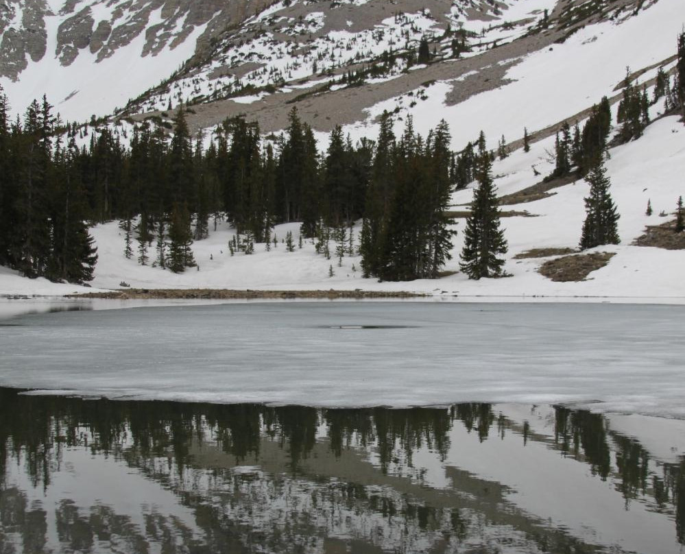 Stella Lake-Great Basin National Park必去景点