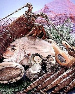 割烹 恵美