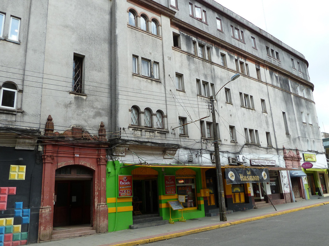 Plaza Pedro de Valdivia-瓦尔迪维亚必去景点