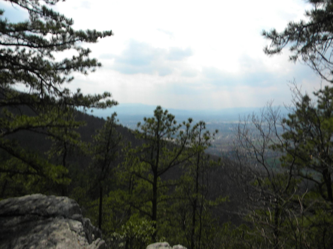 Read Mountain Preserve-罗阿诺克必去景点