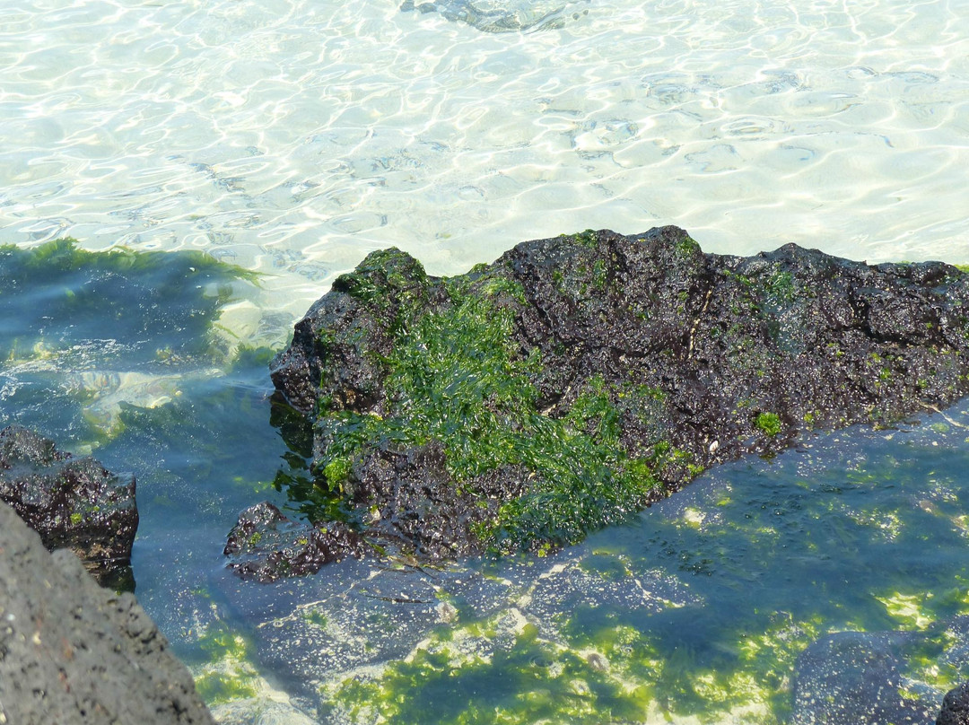 挟才海水浴场-济州必去景点