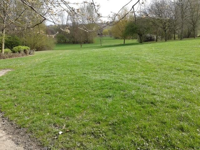 Hemsworth Water Park and Playworld景点图片