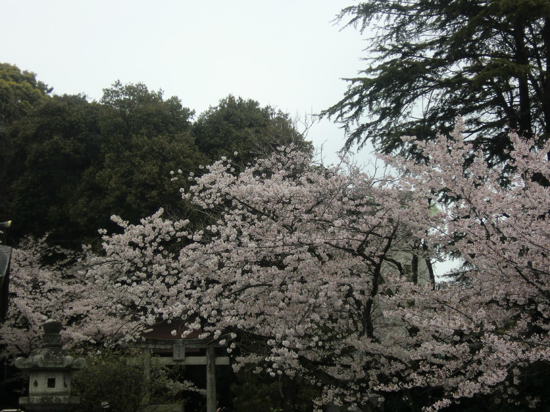 Nishi Park景点图片