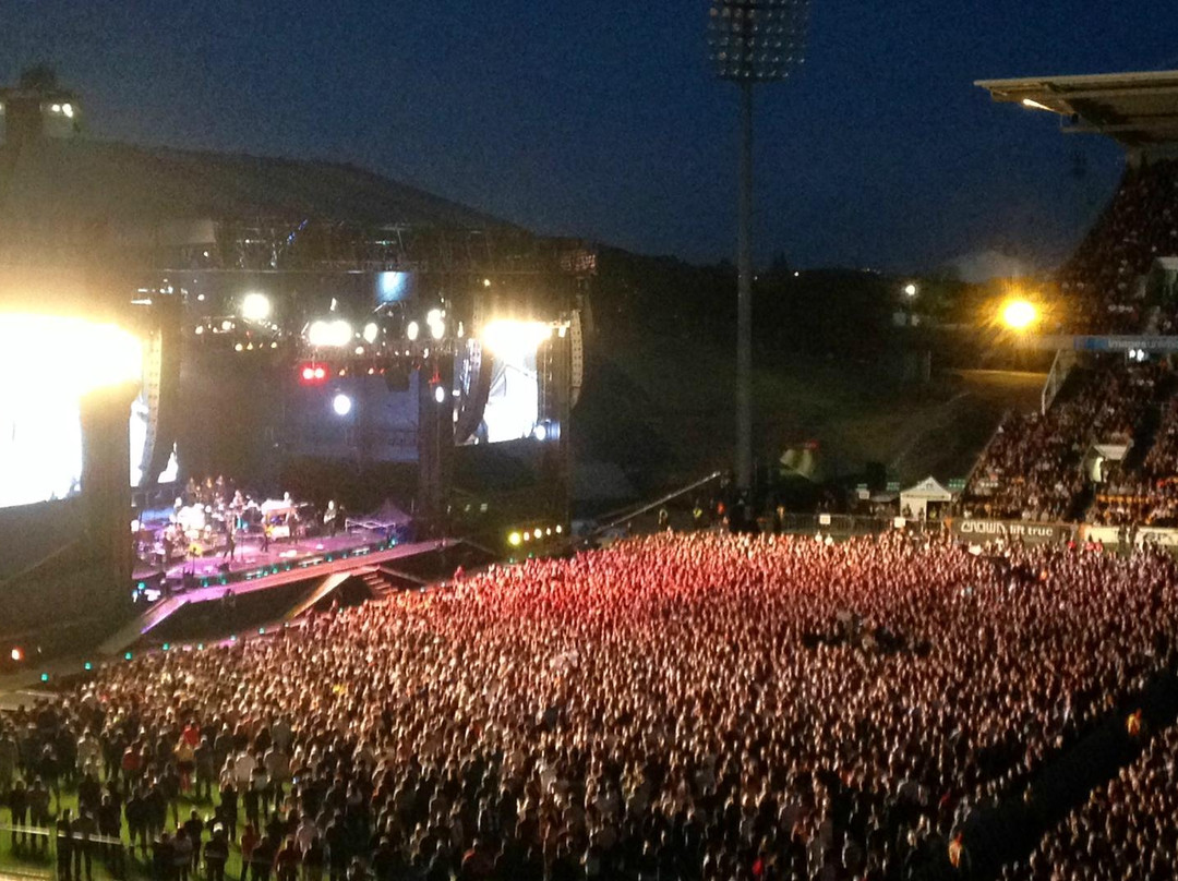 Mt Smart Stadium Auckland New Zealand-奥克兰中心地区必去景点