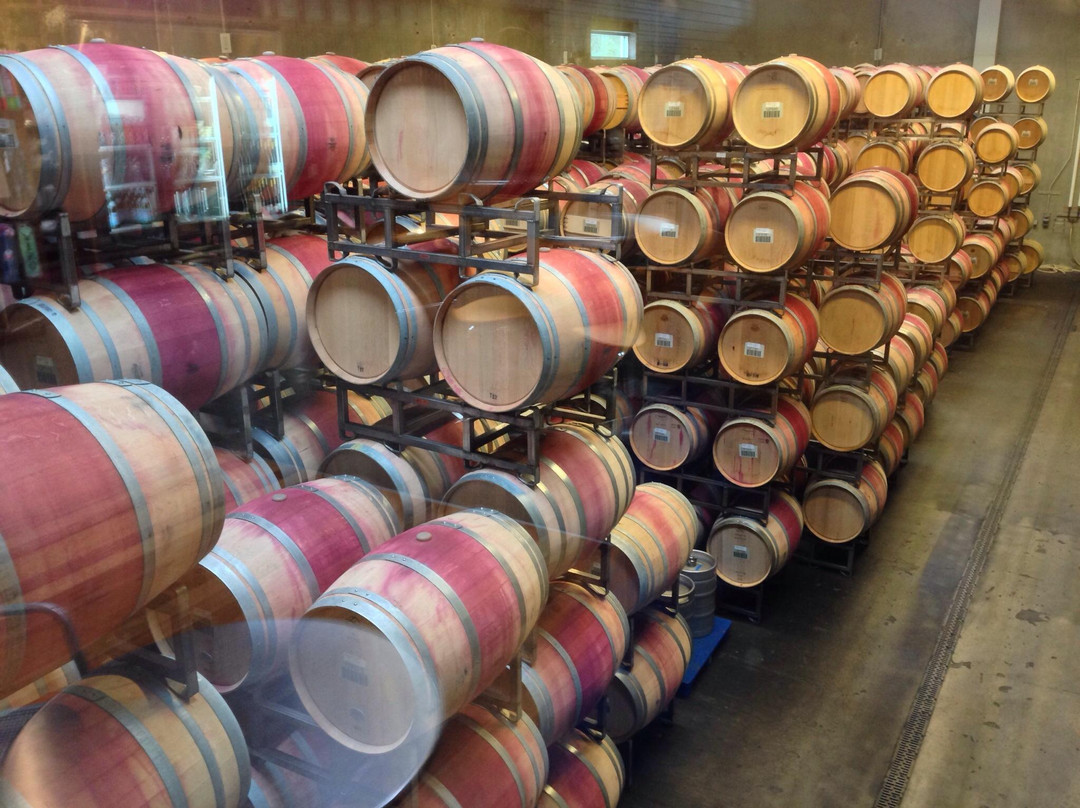 Novelty Hill - Januik Winery景点图片