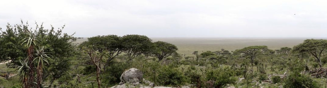 Naabi Hill-塞伦盖蒂国家公园必去景点