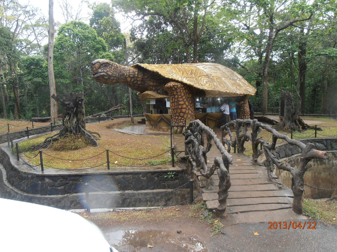 Blooming Paradise主图