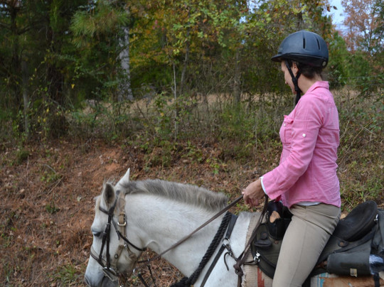 Adopt-A-Horse Horseback Riding-卡温顿必去景点