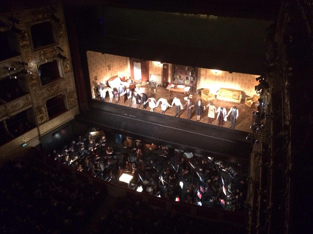 Teatro Regio景点图片