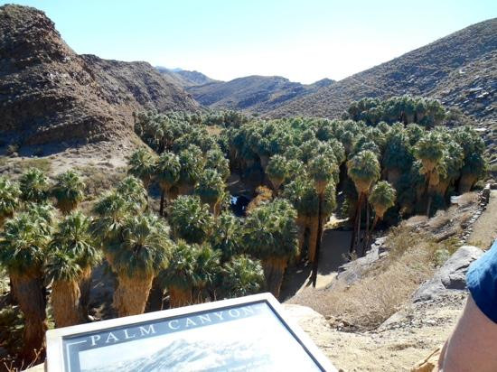阿瓜卡连特印第安人遗址-棕榈泉市必去景点