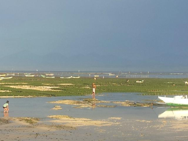 Mushroom Beach-蓝梦岛必去景点