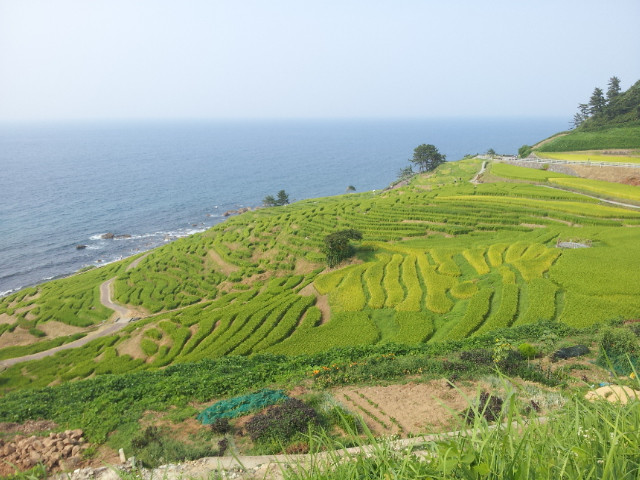 Shiroyone Semmaida-轮岛市必去景点