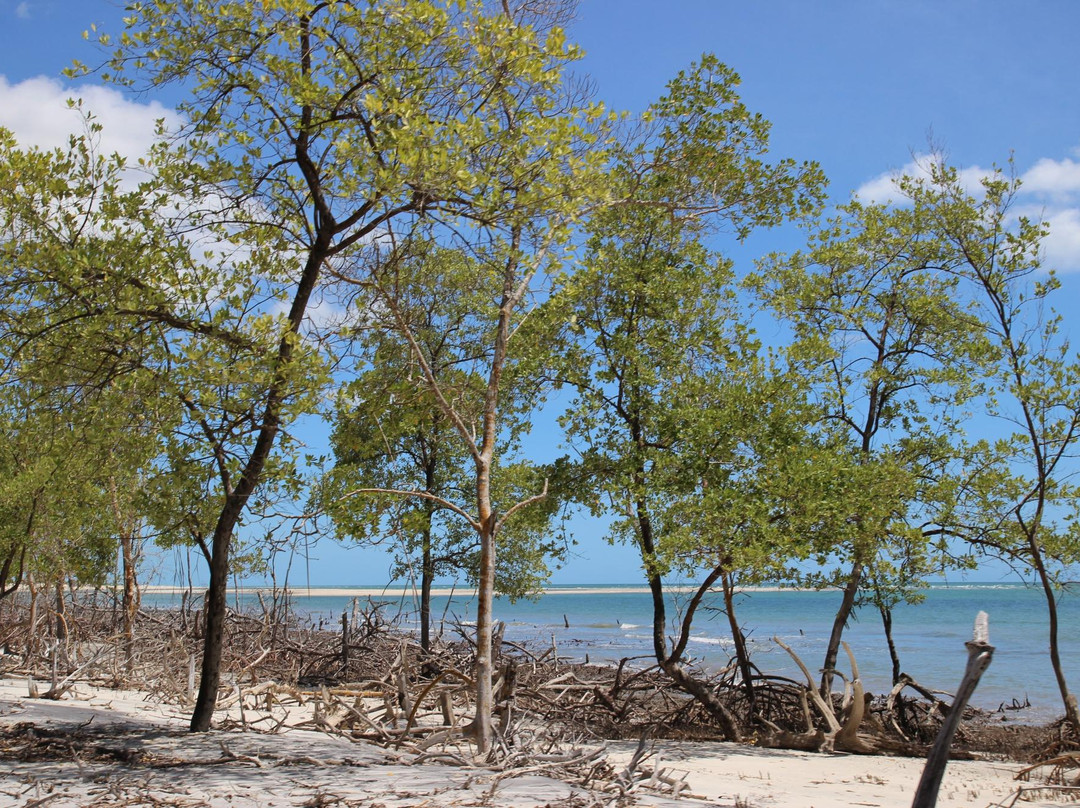 Praia Mangue Seco-Guriu必去景点