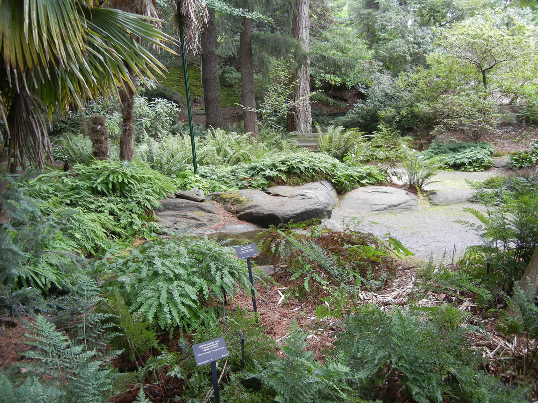 温哥华植物园-温哥华必去景点