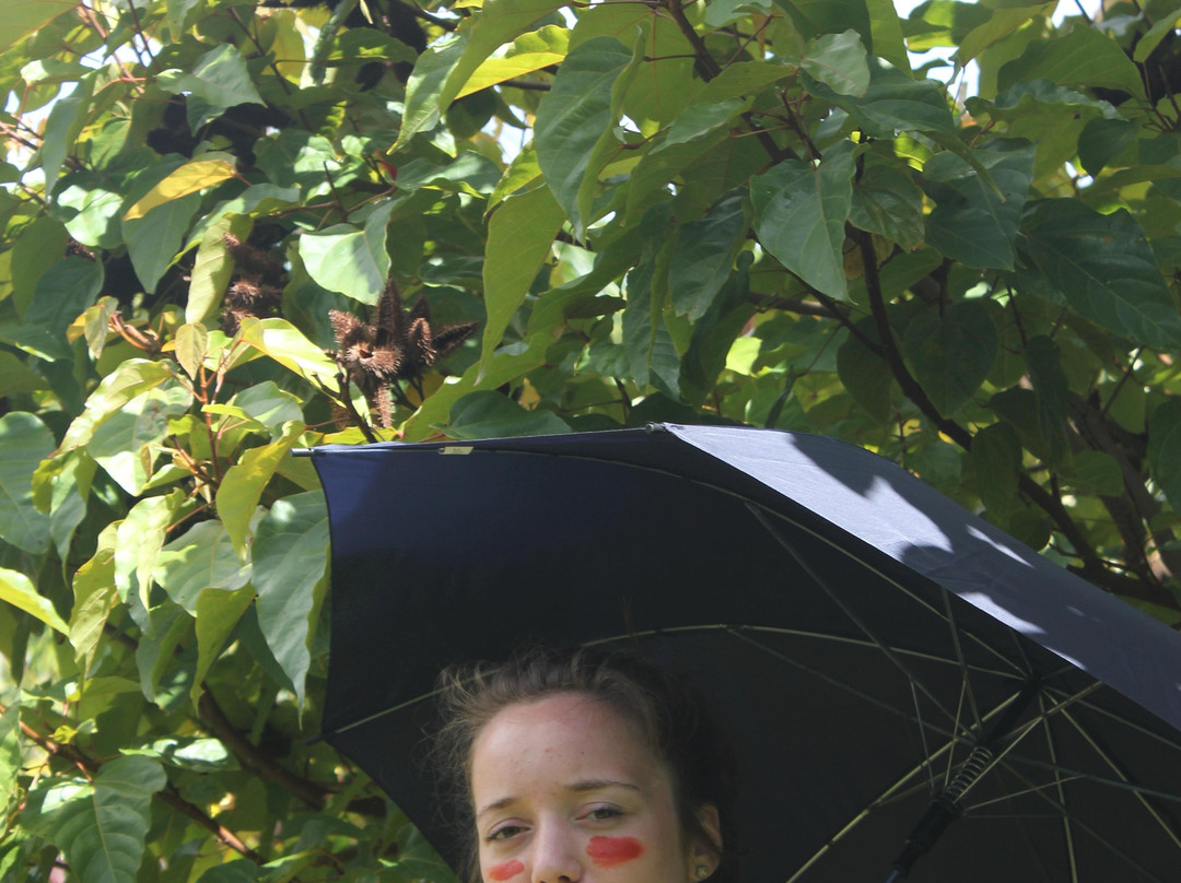 Kauai Island Experience-普林斯维尔必去景点