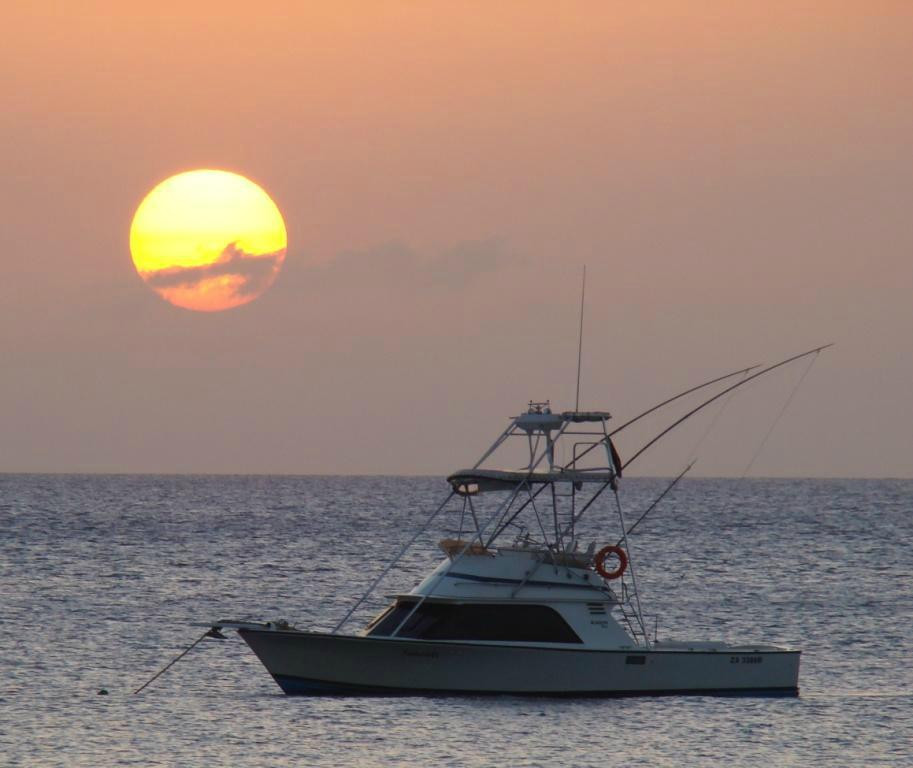 Fishing Zanzibar-孥归必去景点