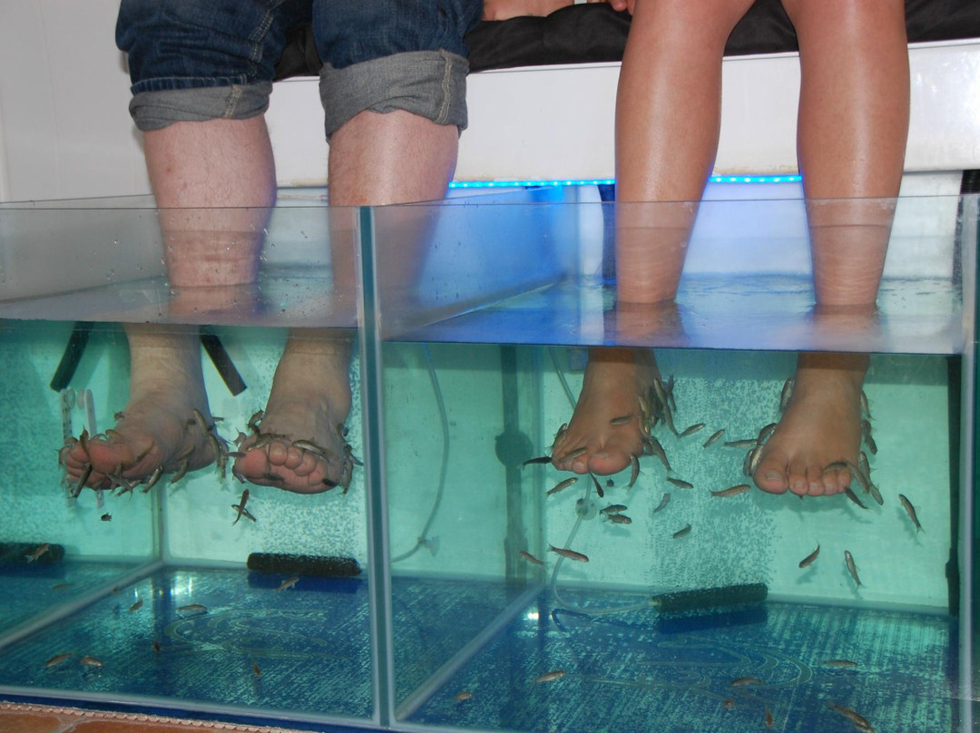 Mijas  Dr. Fish Foot Spa-米哈斯必去景点