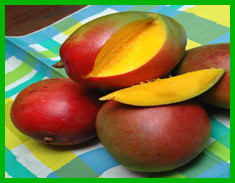 Erindell Villa Guest House主图