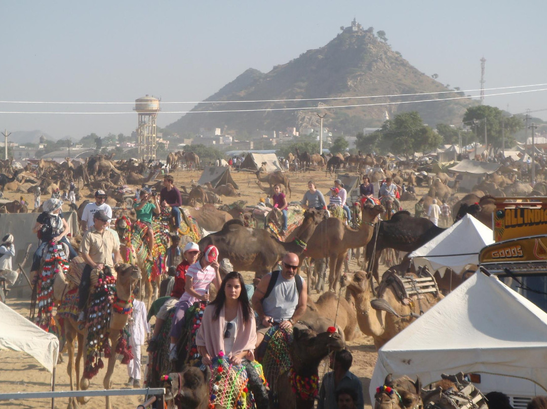 Pushkar Camel Safari-普希卡必去景点