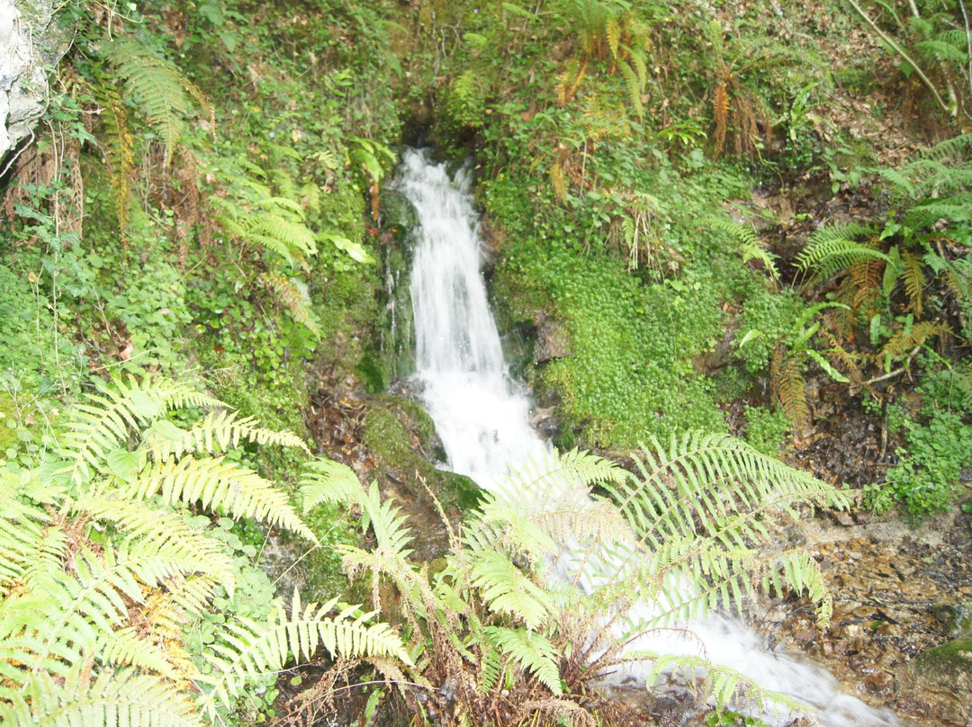 Parque Natural Señorío de Bertiz-Oieregi必去景点