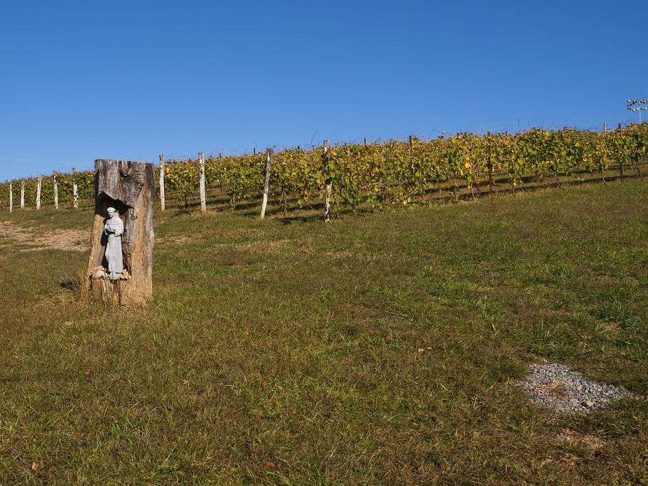 Elkin Creek Vineyard景点图片
