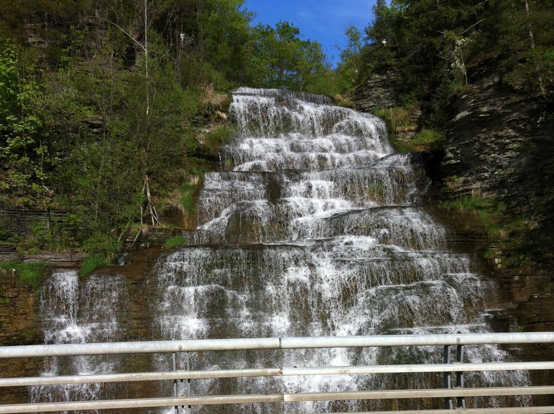 Hector Falls-Hector必去景点