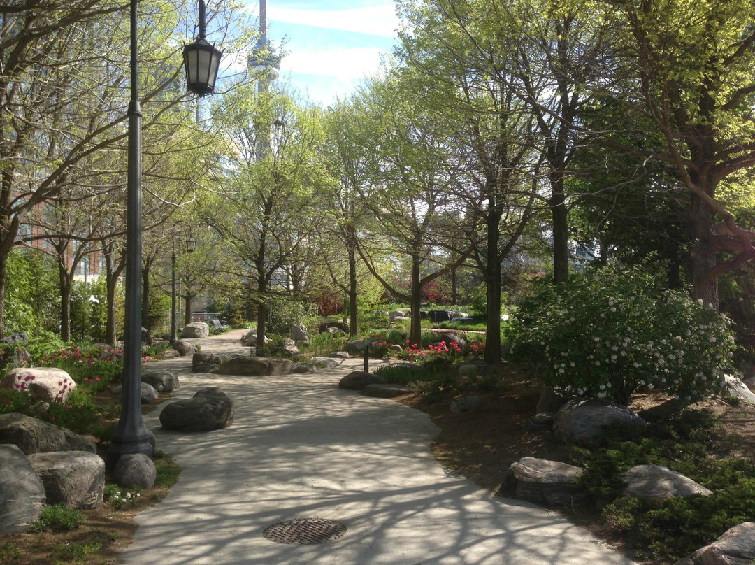 多伦多港湾-多伦多必去景点