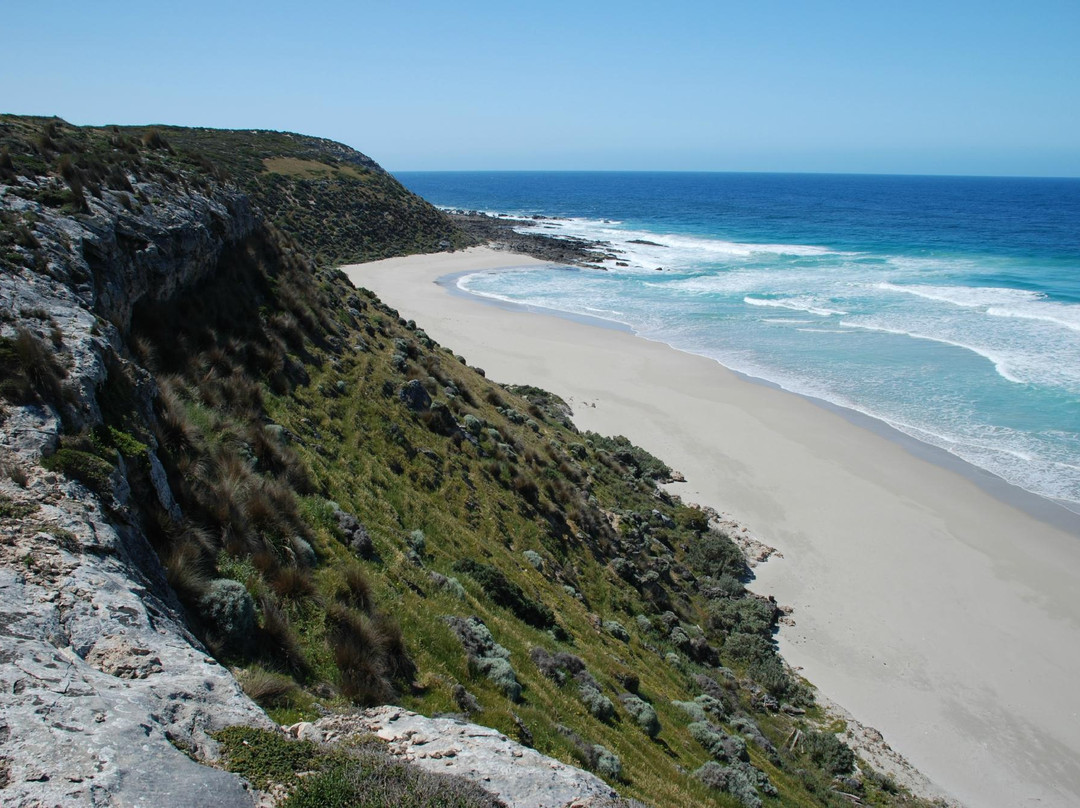 Nepean Bay旅游攻略图片