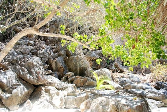 Banul Beach-科隆必去景点