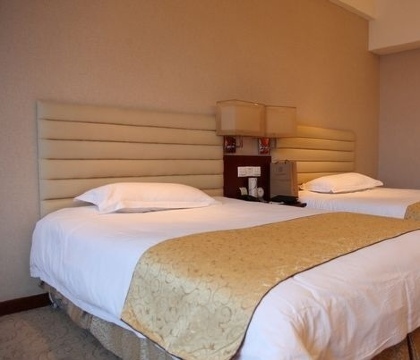 富蓝特大酒店-客卧