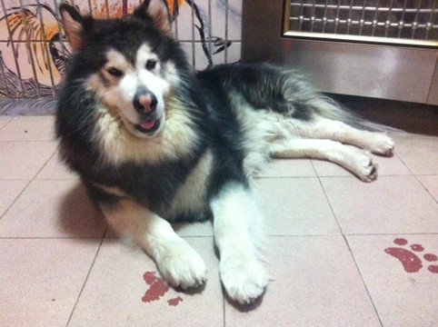 OR间家庭旅馆 主图